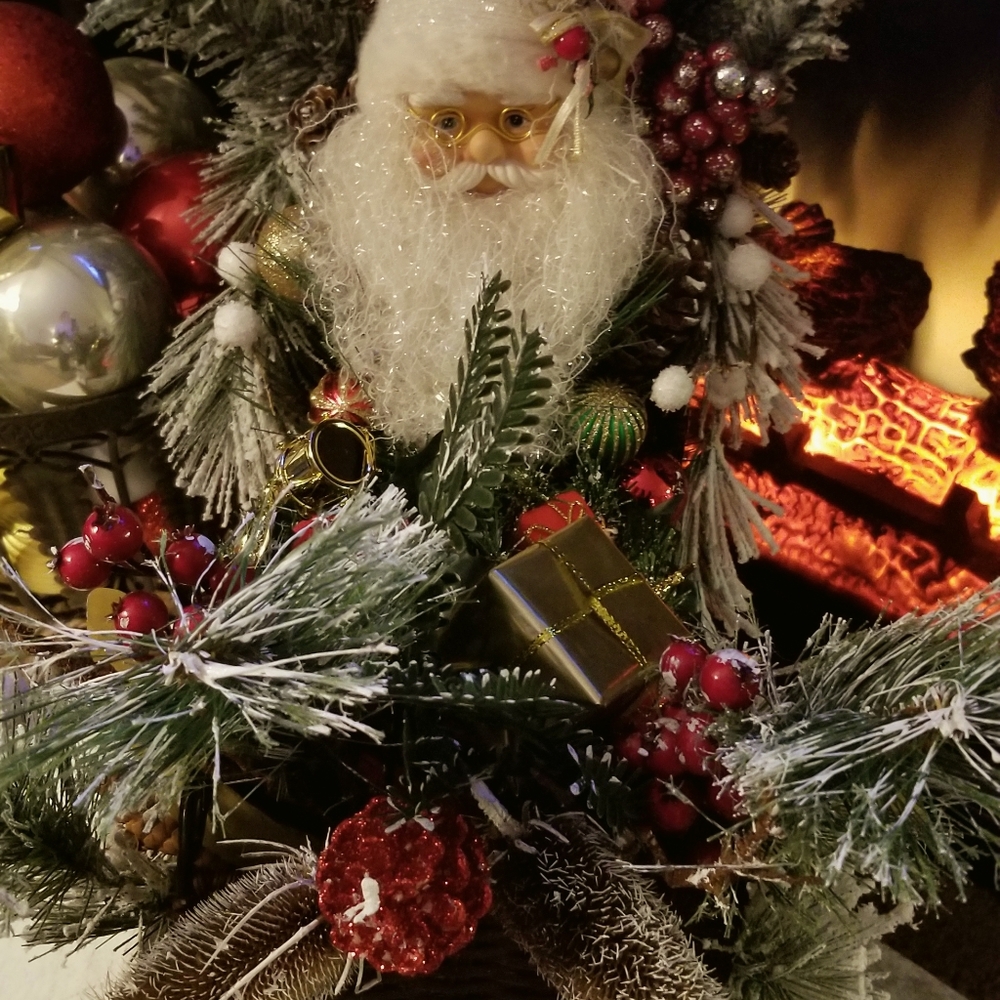 Santa and his sleigh